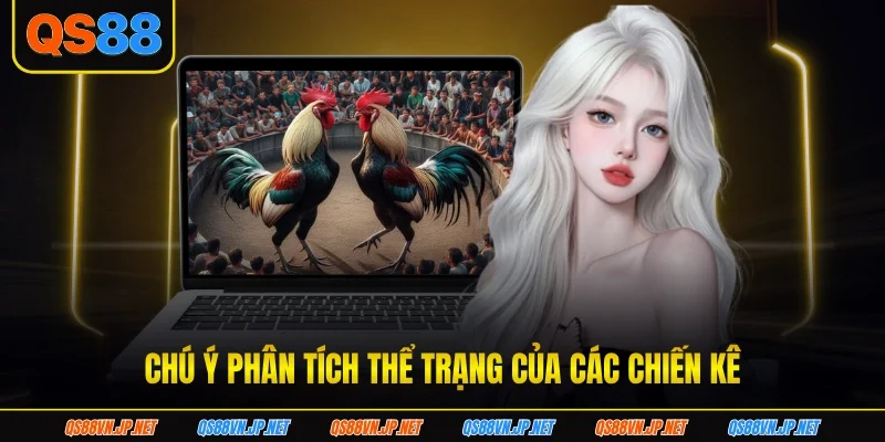 Chú ý phân tích thể trạng của các chiến kê da-ga-thomo-the-trang-ga-da