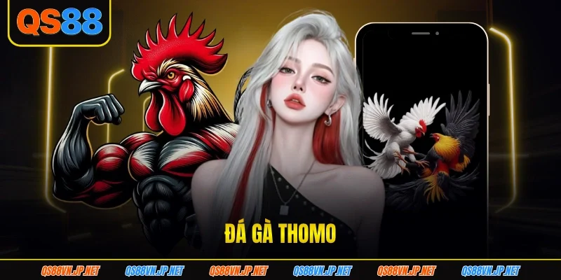Đá Gà Thomo Thu Hút Người Xem Bởi Các Màn So Tài Đỉnh Cao