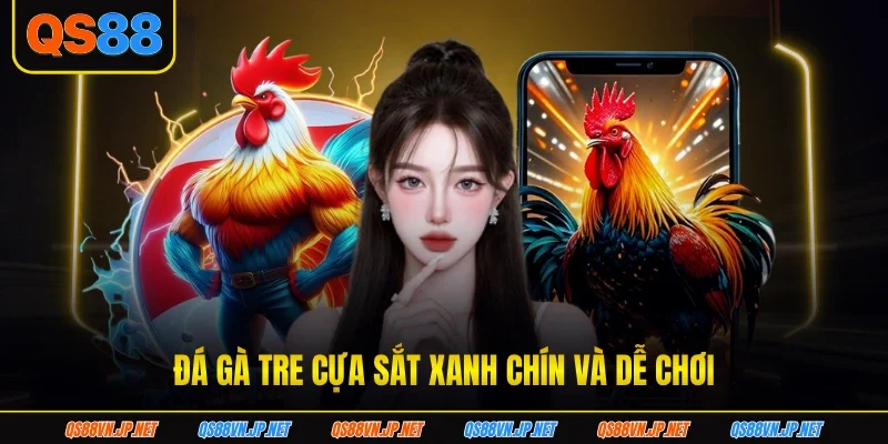 Đá gà tre cựa sắt xanh chín và dễ chơi