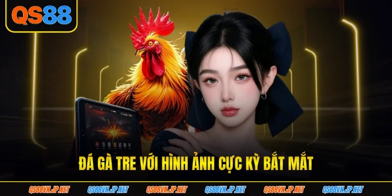 Đá gà tre với hình ảnh cực kỳ bắt mắt