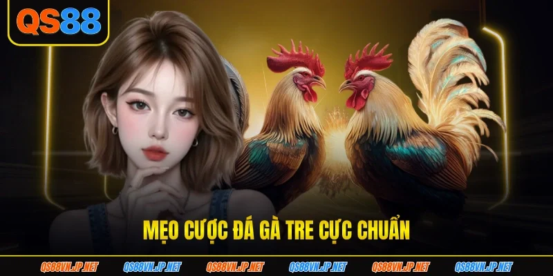 Mẹo cược đá gà tre cực chuẩn