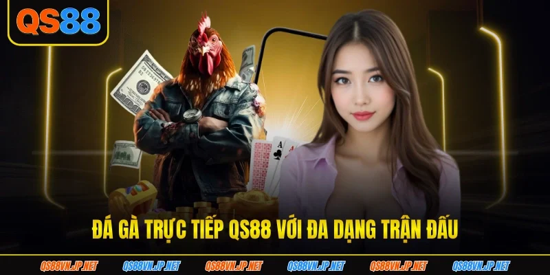 Đá gà trực tiếp QS88 với đa dạng trận đấu Đá gà trực tiếp QS88 với đa dạng trận đấu